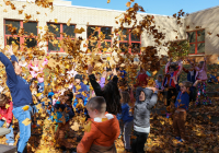 Elsie-Rogers-Kindergarten-Pumpkin-Experiement-10-30-25-247